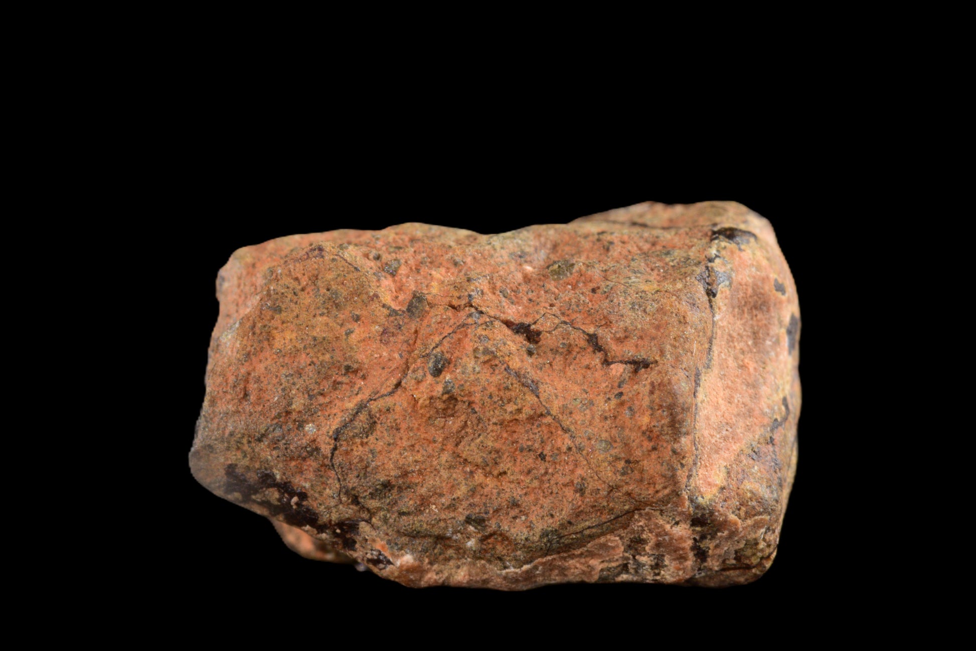 NWA 14869 Diogenite melt breccia 1.61 g