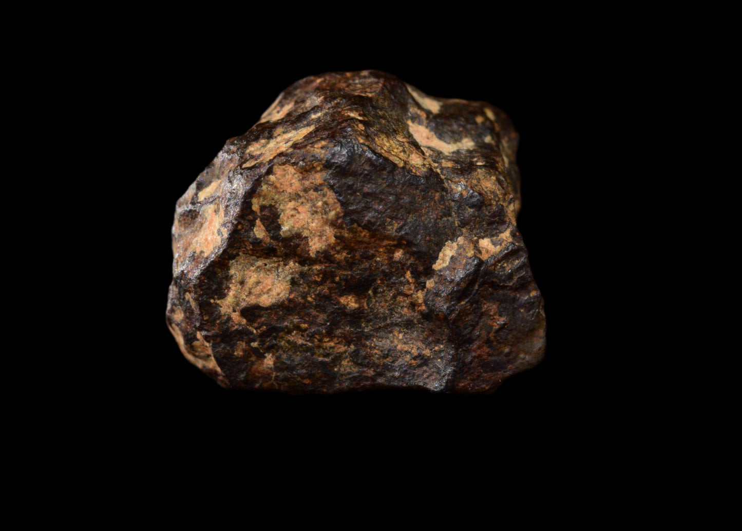 NWA 14869 Diogenite melt breccia 1.61g