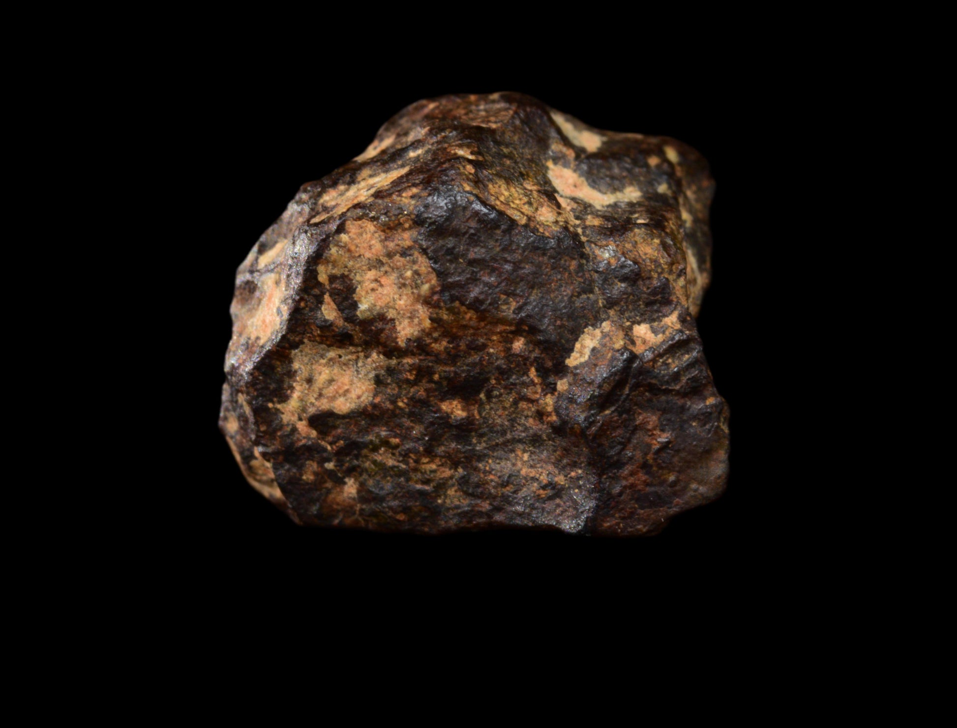 NWA 14869 Diogenite melt breccia 1.61g