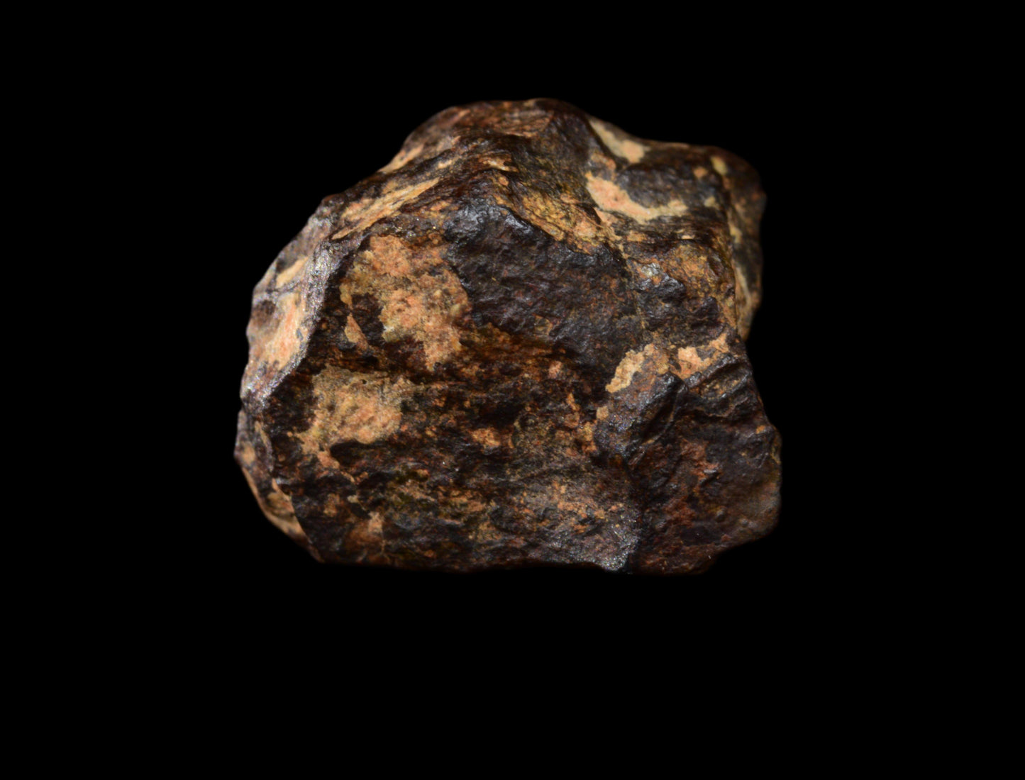 NWA 14869 Diogenite melt breccia 1.61g