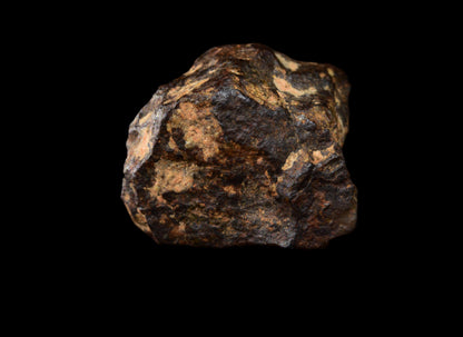 NWA 14869 Diogenite melt breccia 1.61g