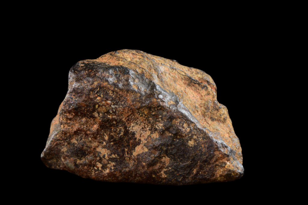 NWA 14869 Diogenite melt breccia 1.7 g
