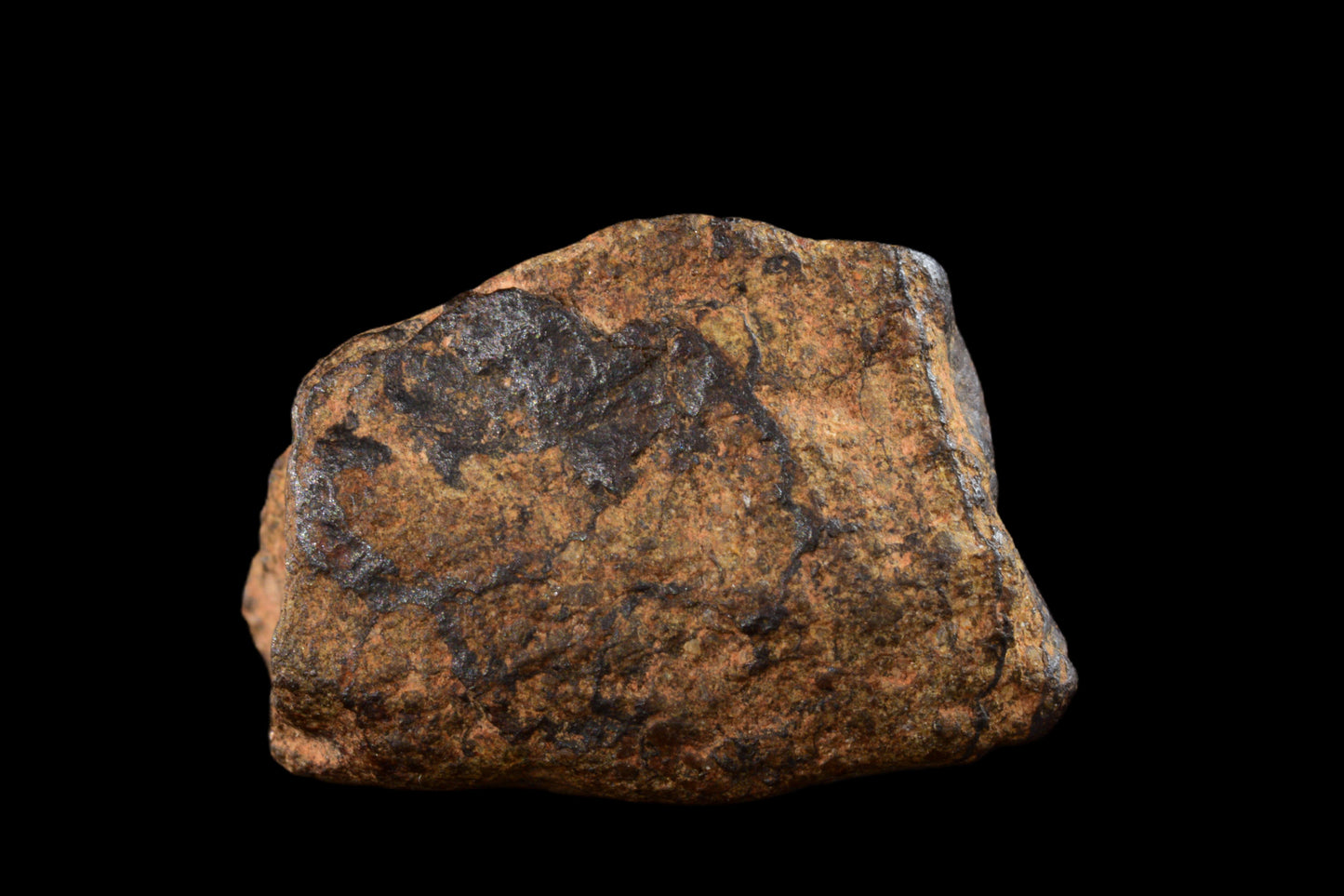 NWA 14869 Diogenite melt breccia 1.7 g