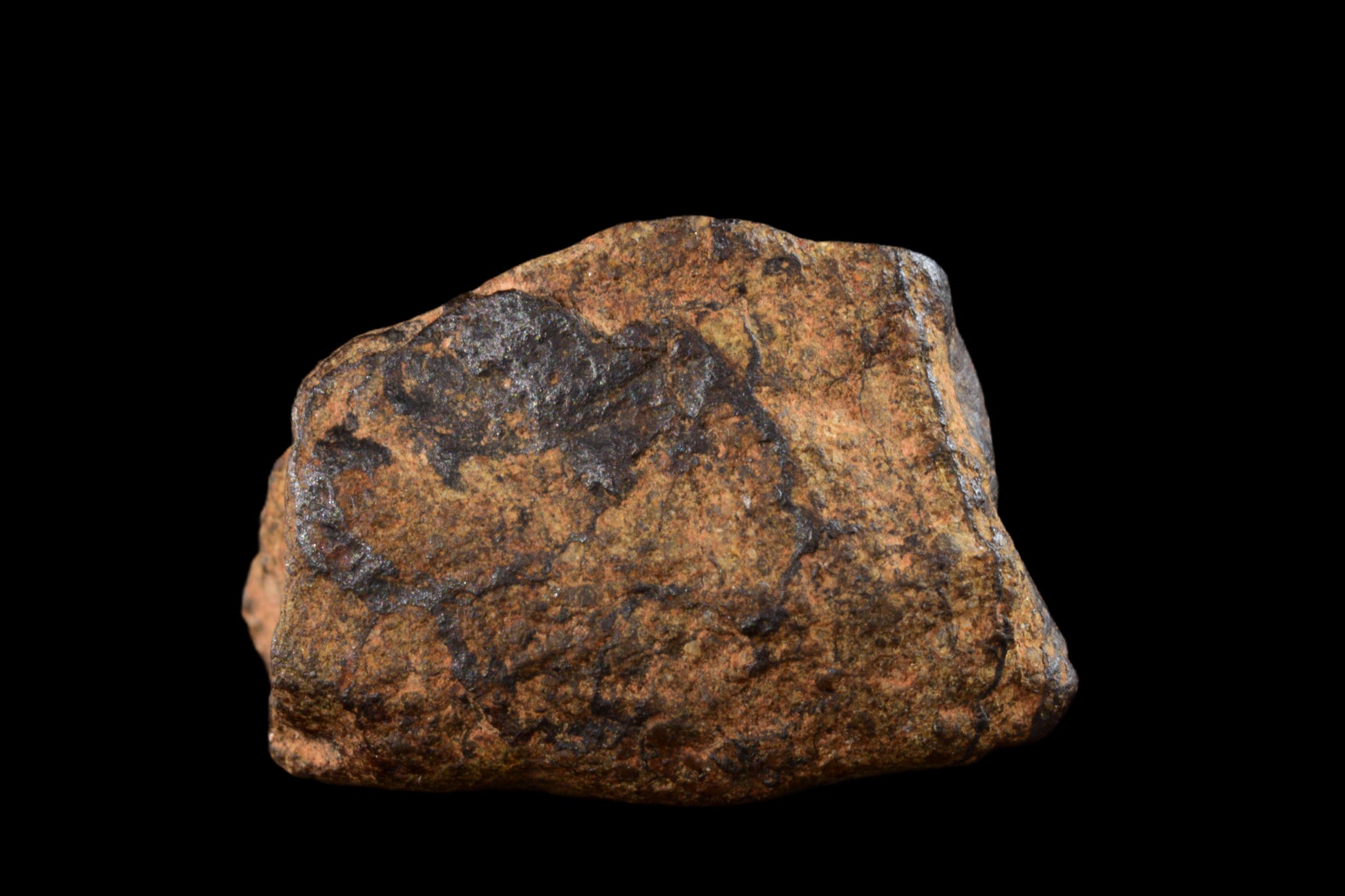 NWA 14869 Diogenite melt breccia 1.7 g