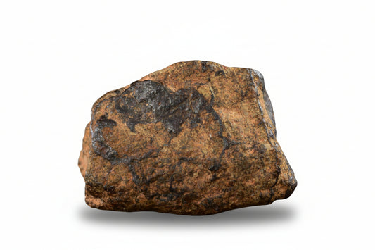 NWA 14869 Diogenite melt breccia 1.7 g