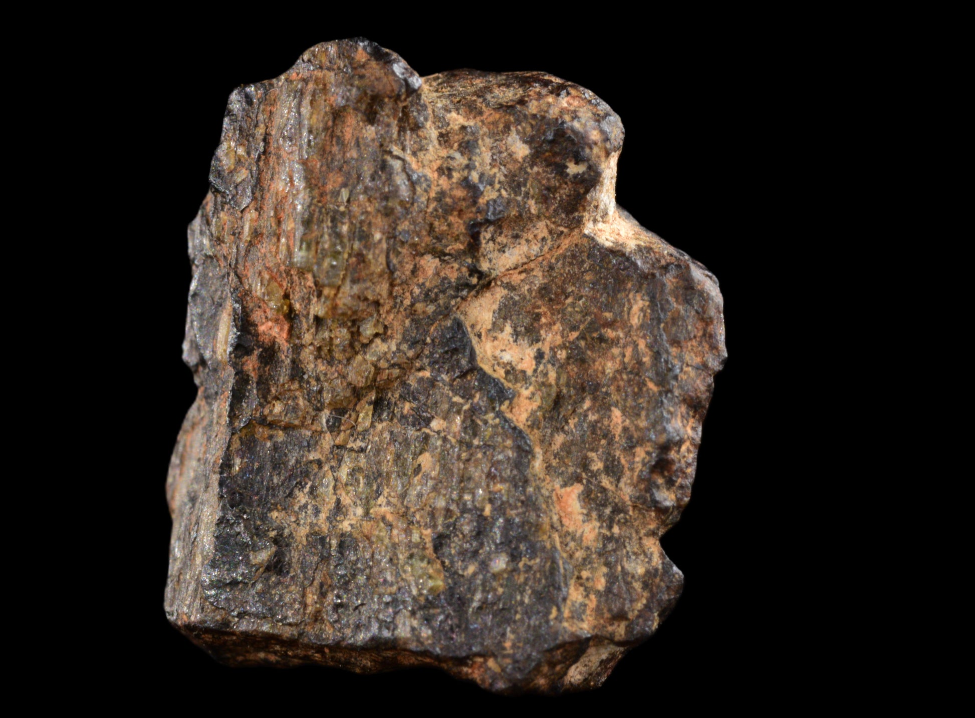 NWA 14869 Diogenite melt breccia 2.08 g