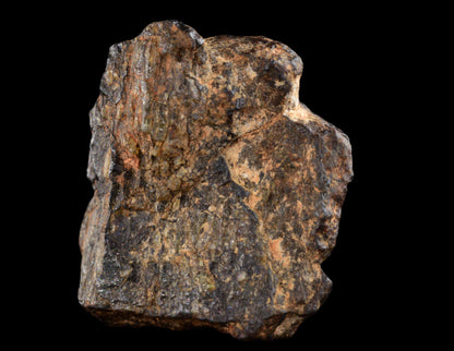 NWA 14869 Diogenite melt breccia 2.08 g