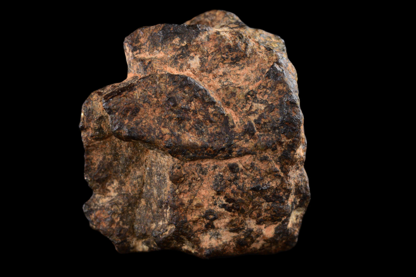 NWA 14869 Diogenite melt breccia 2.08 g