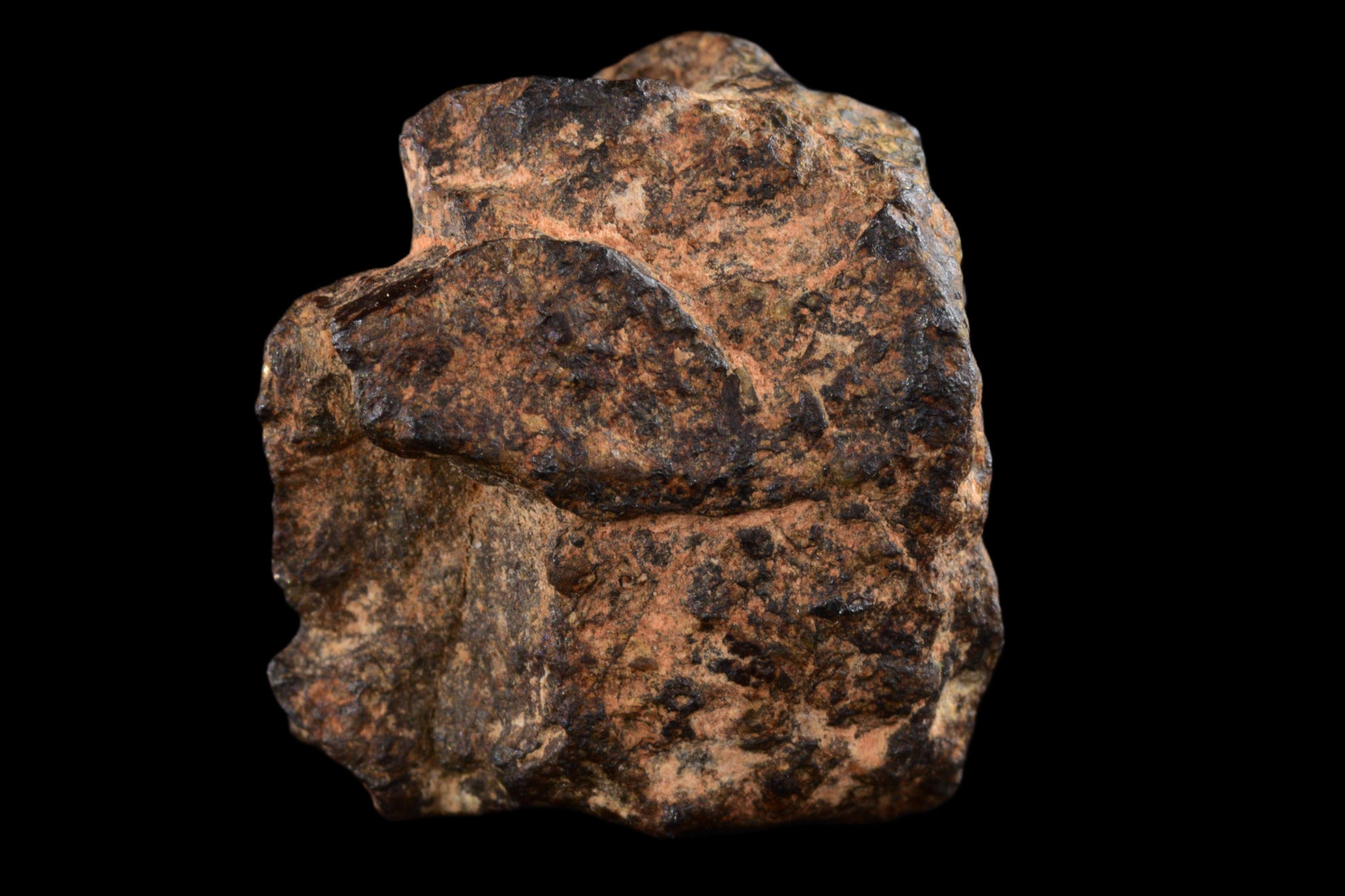 NWA 14869 Diogenite melt breccia 2.08 g