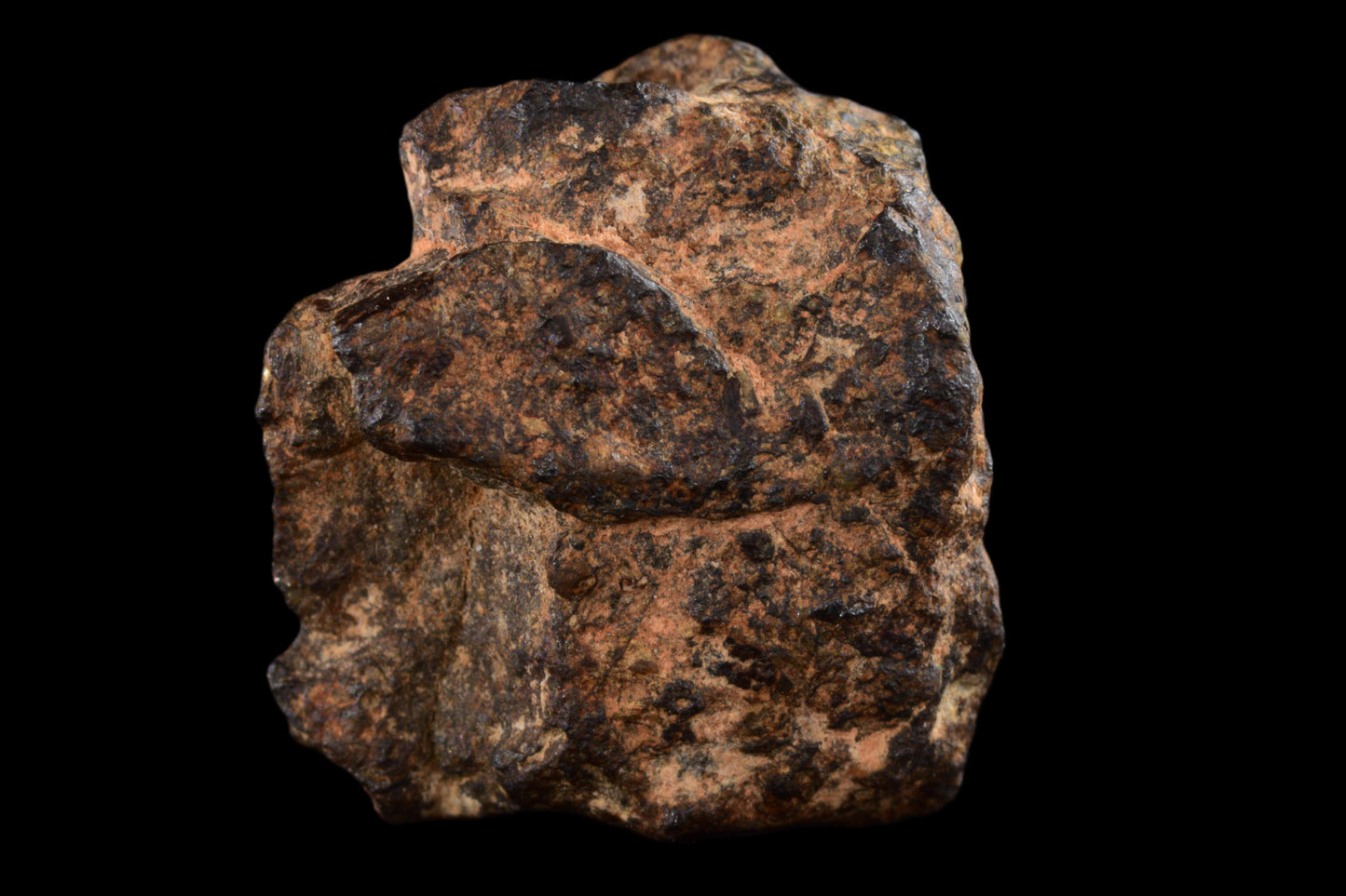 NWA 14869 Diogenite melt breccia 2.08 g