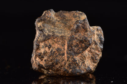 NWA 14869 Diogenite melt breccia 2.08 g