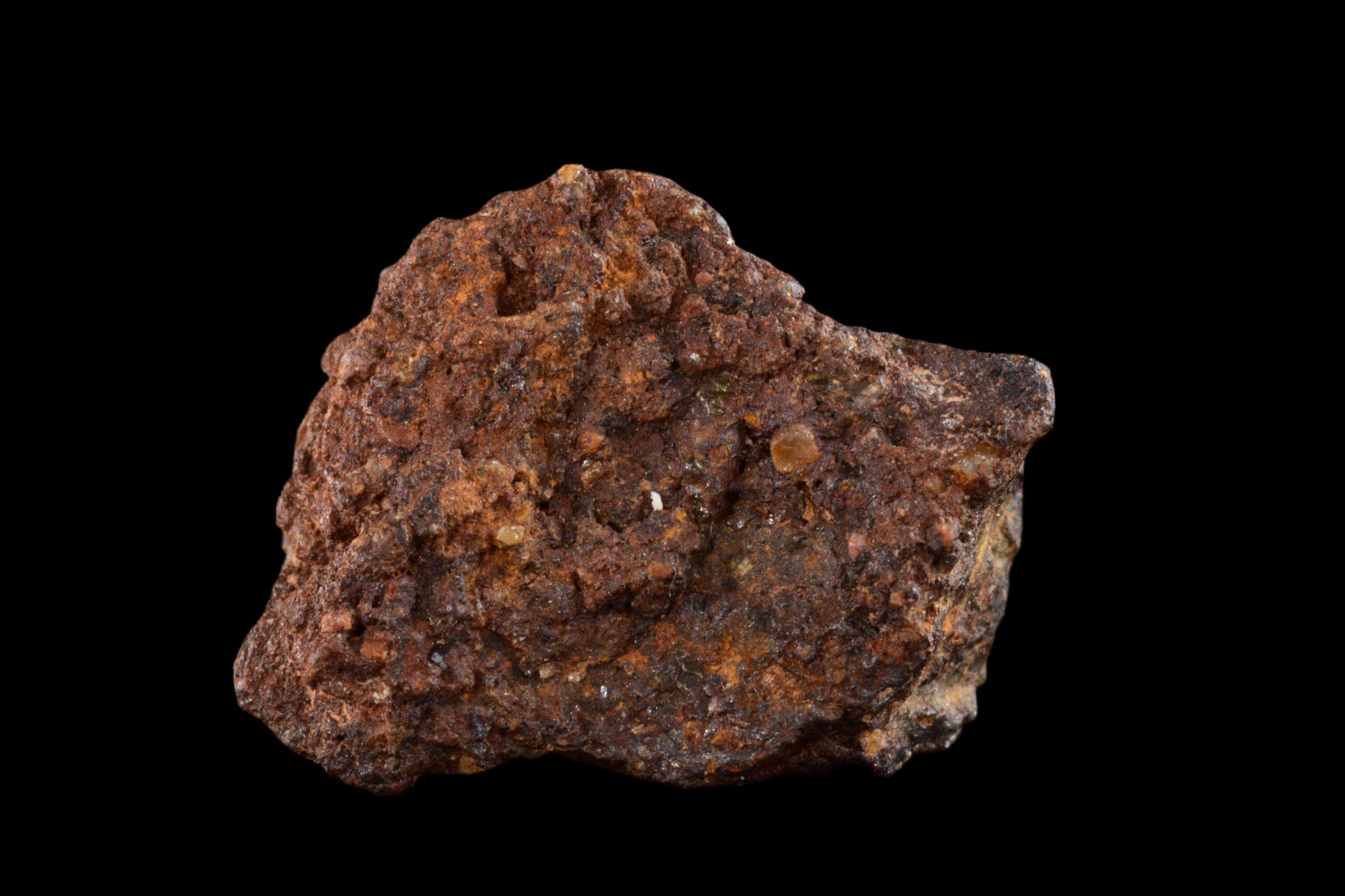 NWA 14869 Diogenite melt breccia 2.11  g