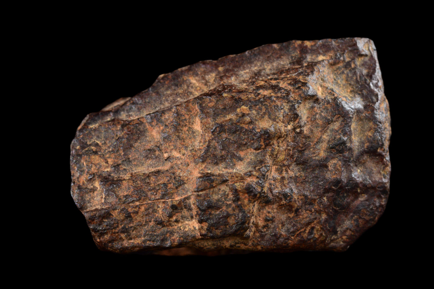 NWA 14869 Diogenite melt breccia 2.50 g