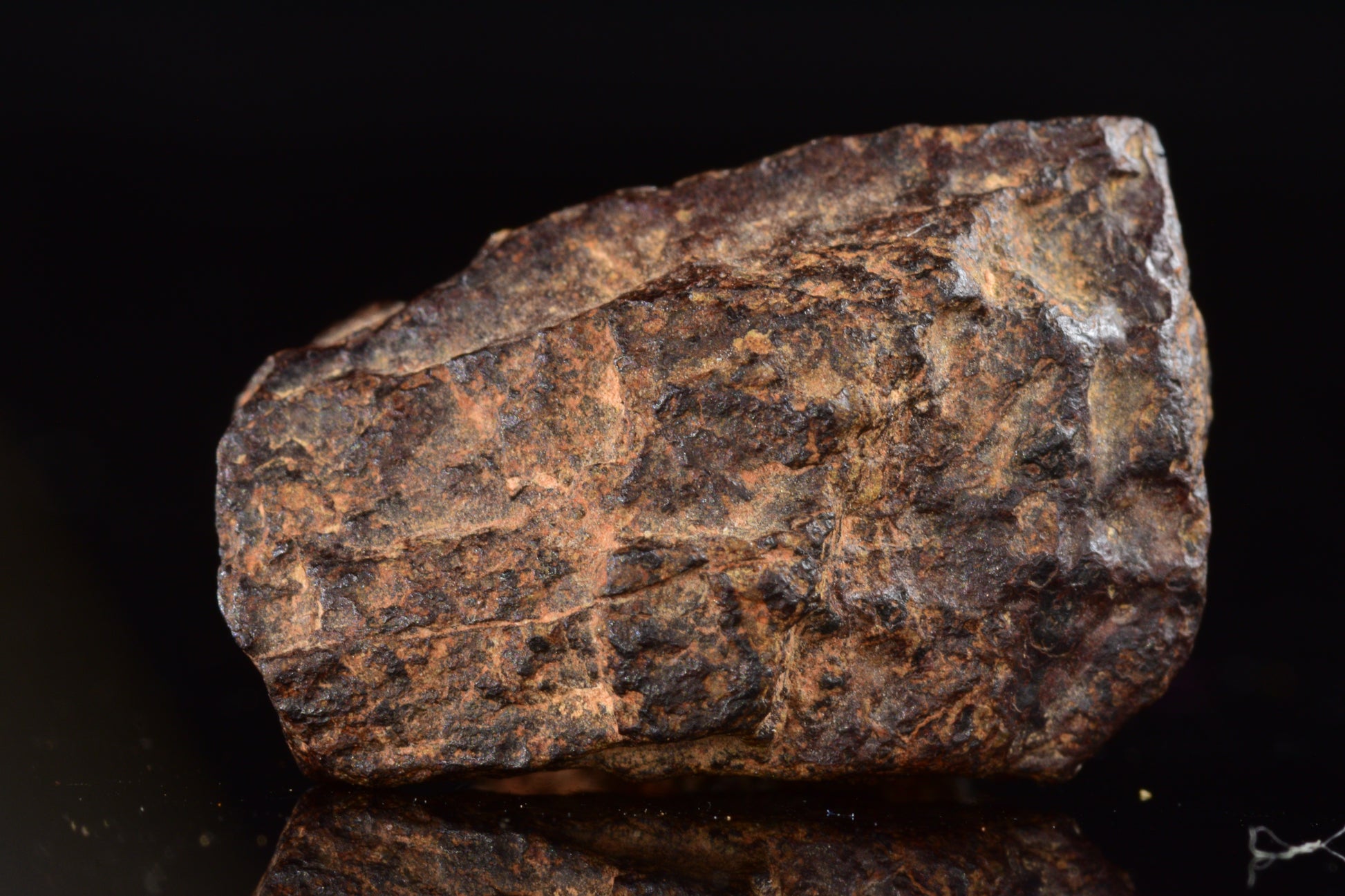 NWA 14869 Diogenite melt breccia 2.50 g