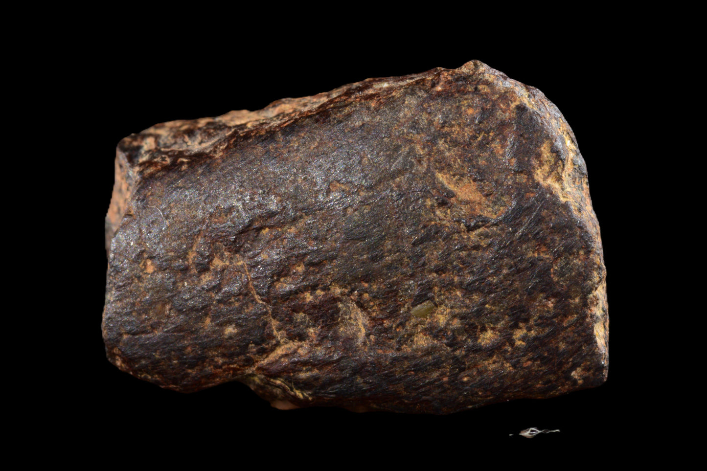 NWA 14869 Diogenite melt breccia 2.50 g