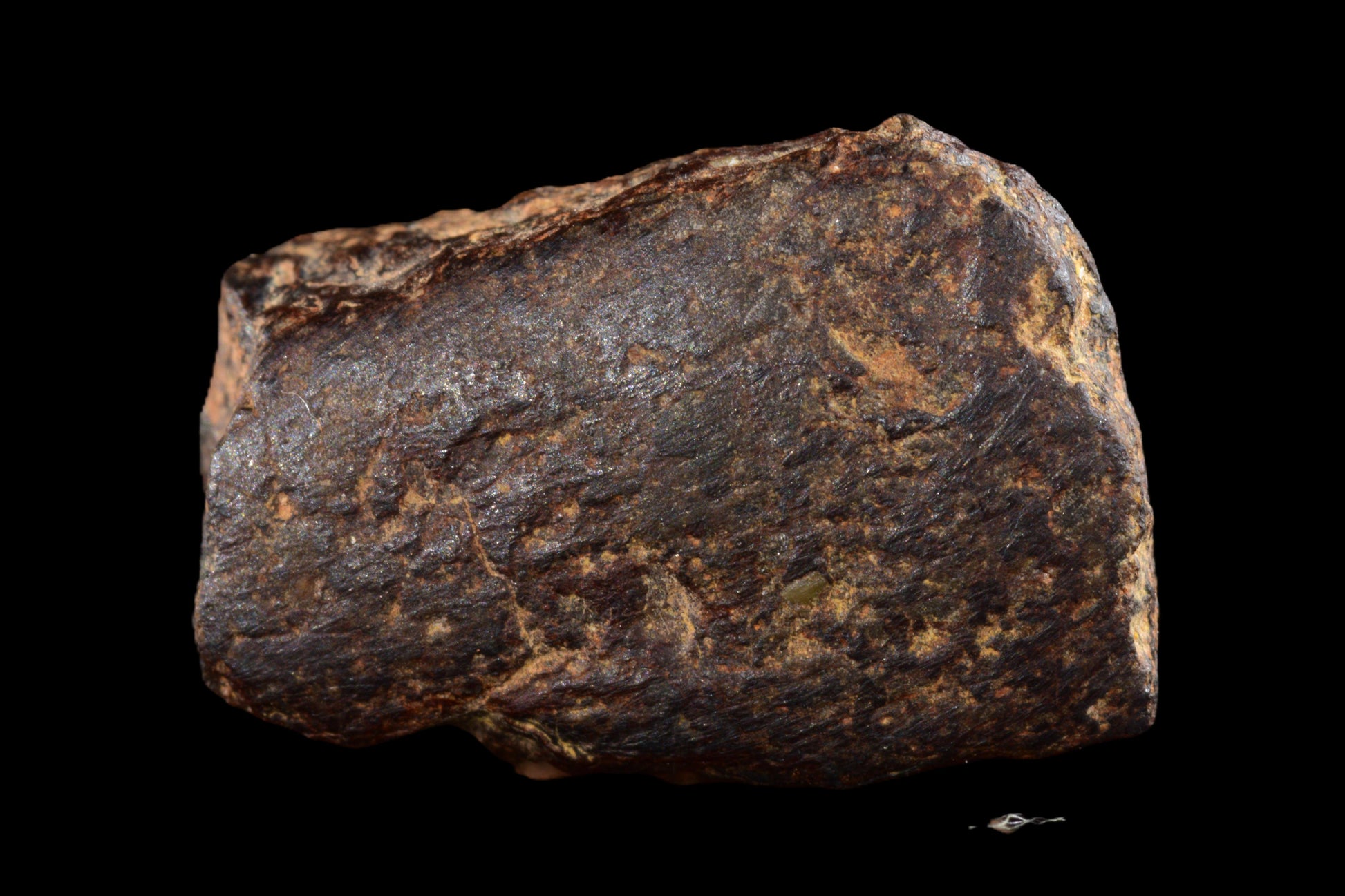 NWA 14869 Diogenite melt breccia 2.50 g