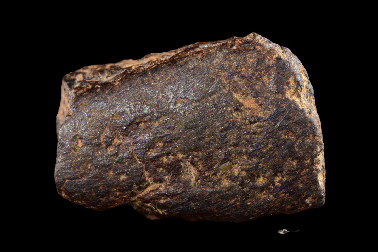 NWA 14869 Diogenite melt breccia 2.50 g