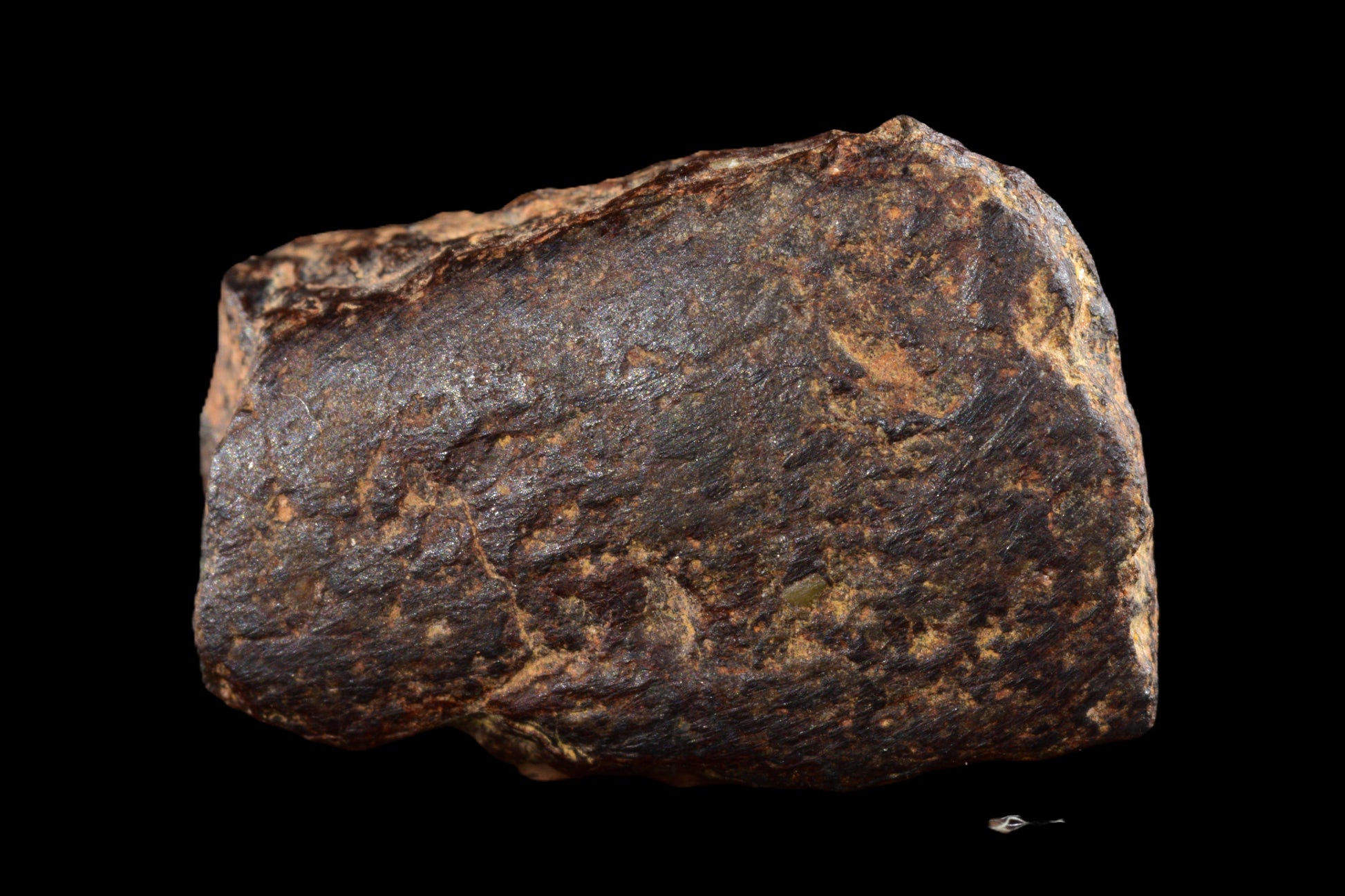 NWA 14869 Diogenite melt breccia 2.50 g