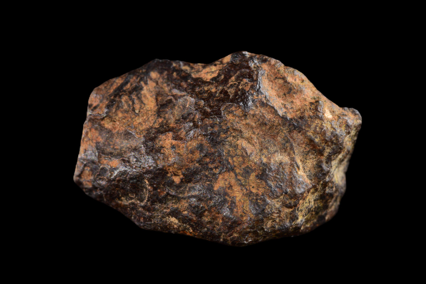 NWA 14869 Diogenite melt breccia 2.52 g