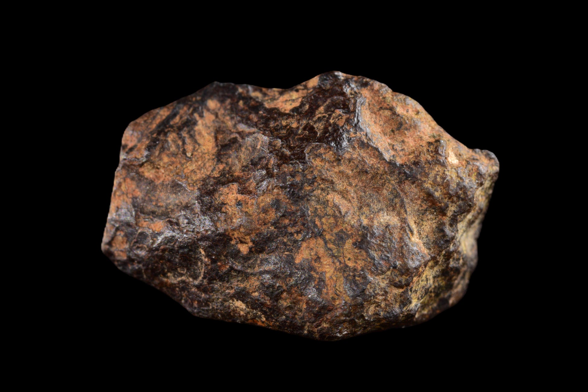 NWA 14869 Diogenite melt breccia 2.52 g