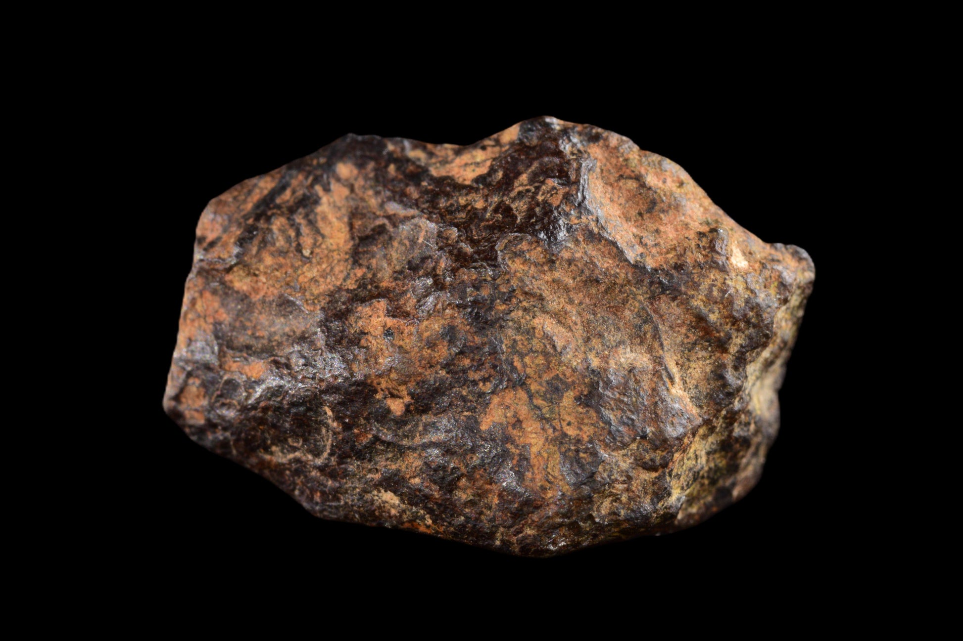 NWA 14869 Diogenite melt breccia 2.52 g