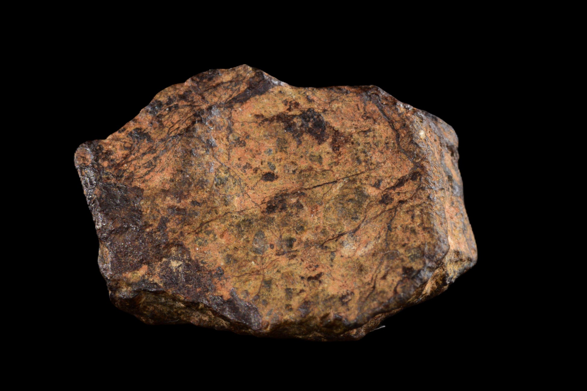 NWA 14869 Diogenite melt breccia 2.52 g