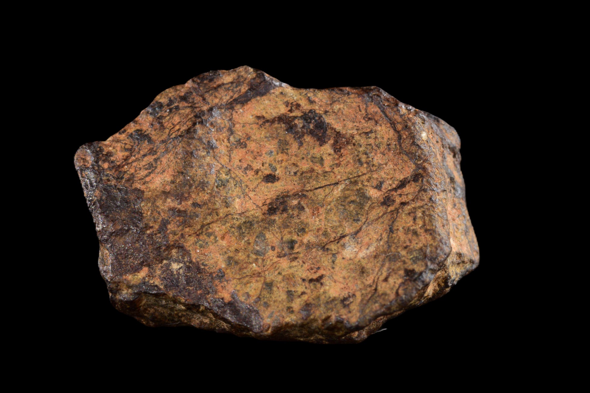 NWA 14869 Diogenite melt breccia 2.52 g