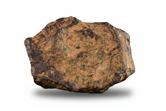 NWA 14869 Diogenite melt breccia 2.52 g