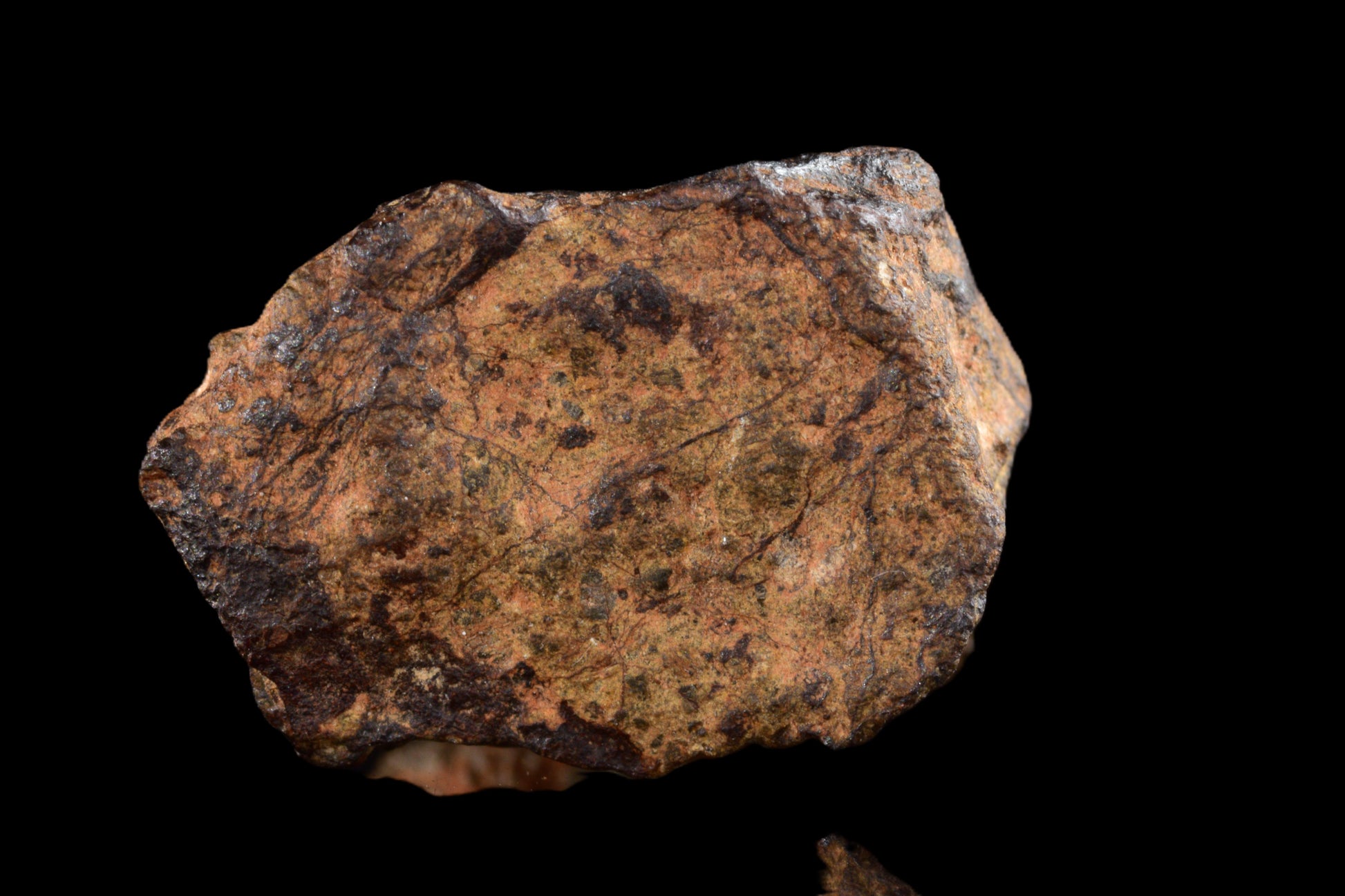 NWA 14869 Diogenite melt breccia 2.52 g