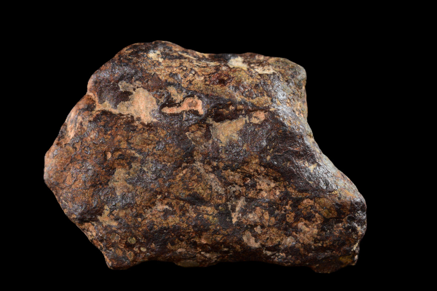 NWA 14869 Diogenite melt breccia 2.58 g