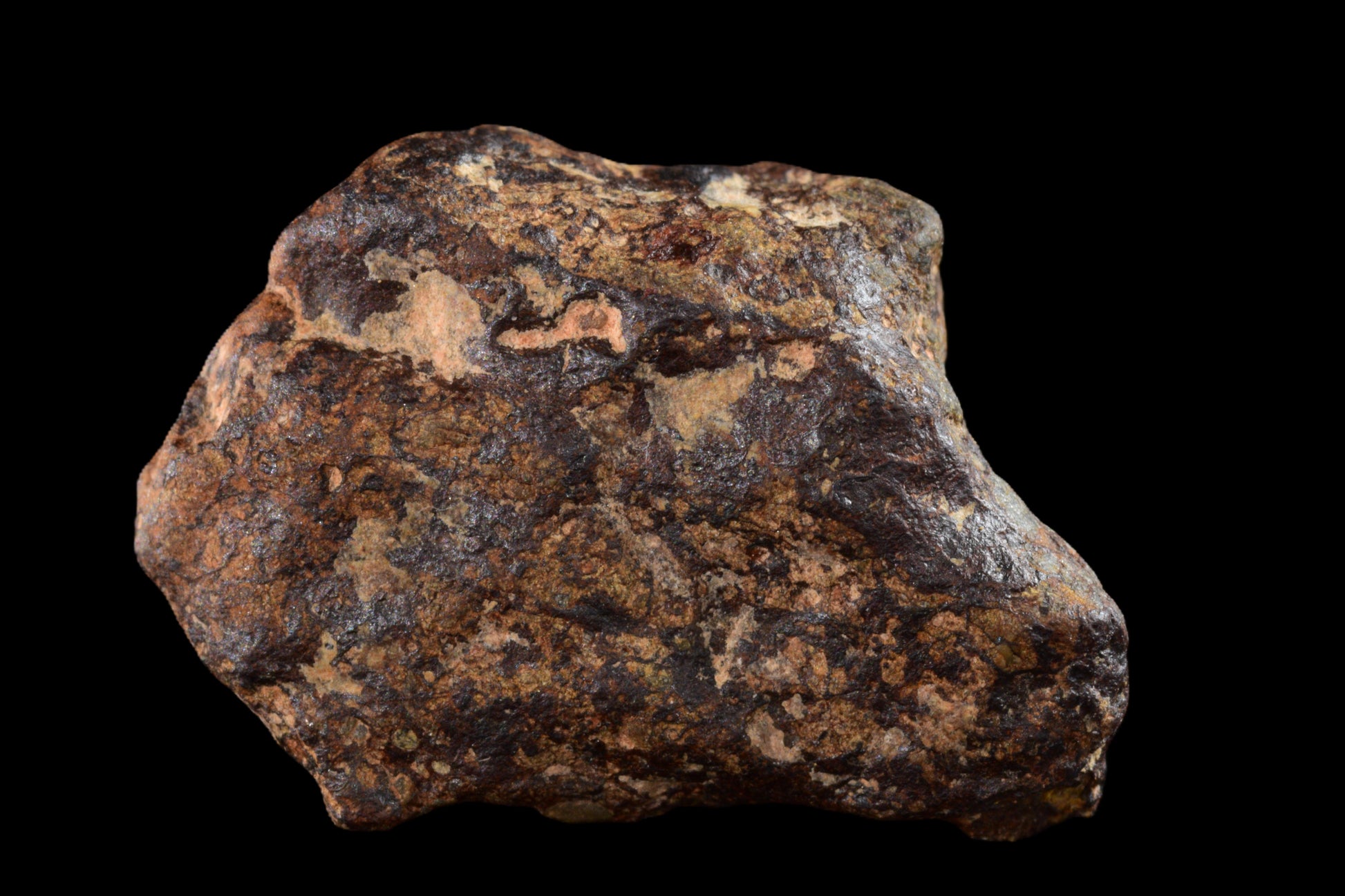 NWA 14869 Diogenite melt breccia 2.58 g