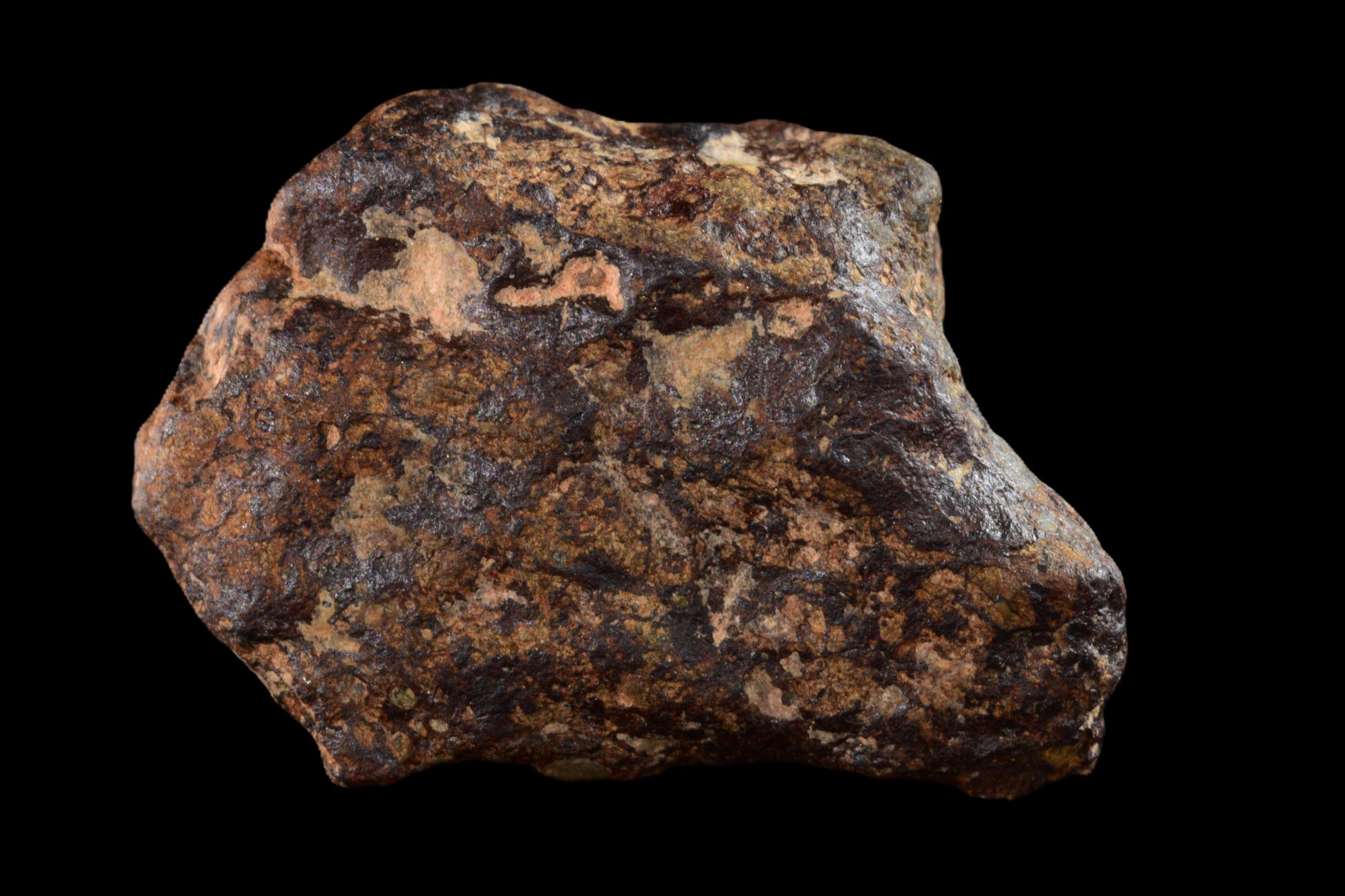 NWA 14869 Diogenite melt breccia 2.58 g