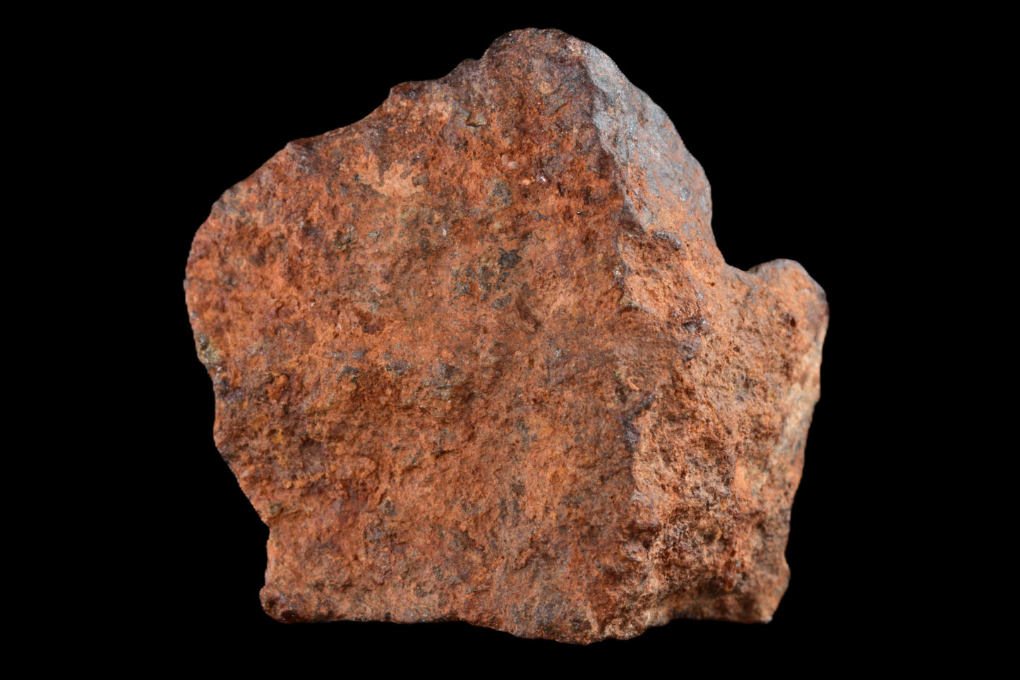 NWA 14869 Diogenite melt breccia 2.86 g