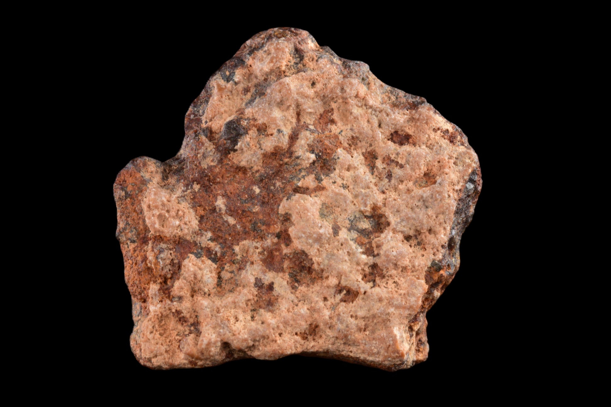 NWA 14869 Diogenite melt breccia 2.86 g