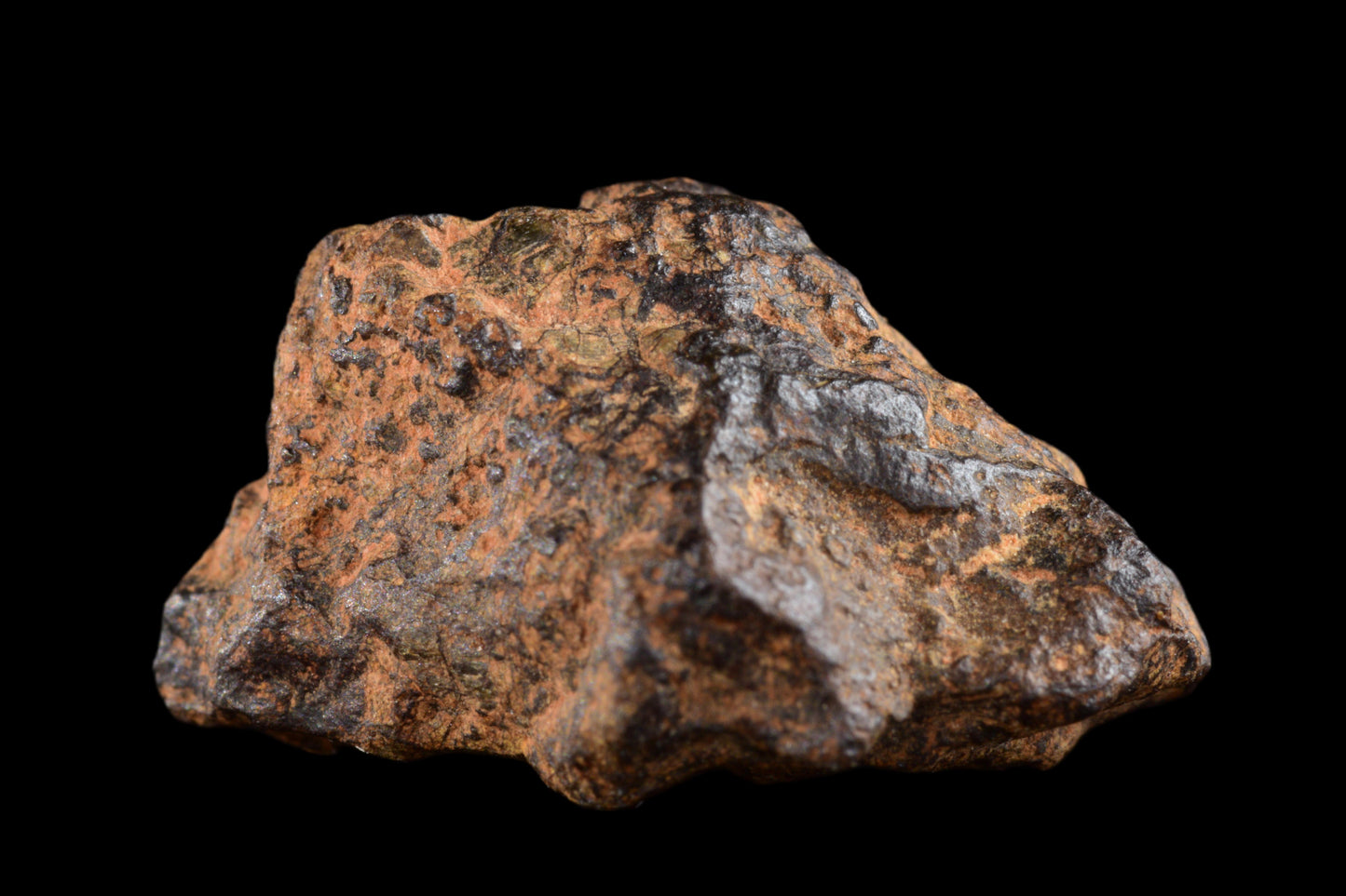 NWA 14869 Diogenite melt breccia 2.87 g