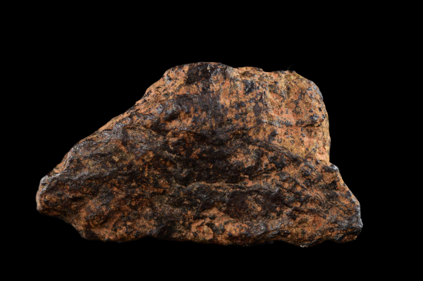 NWA 14869 Diogenite melt breccia 2.87 g