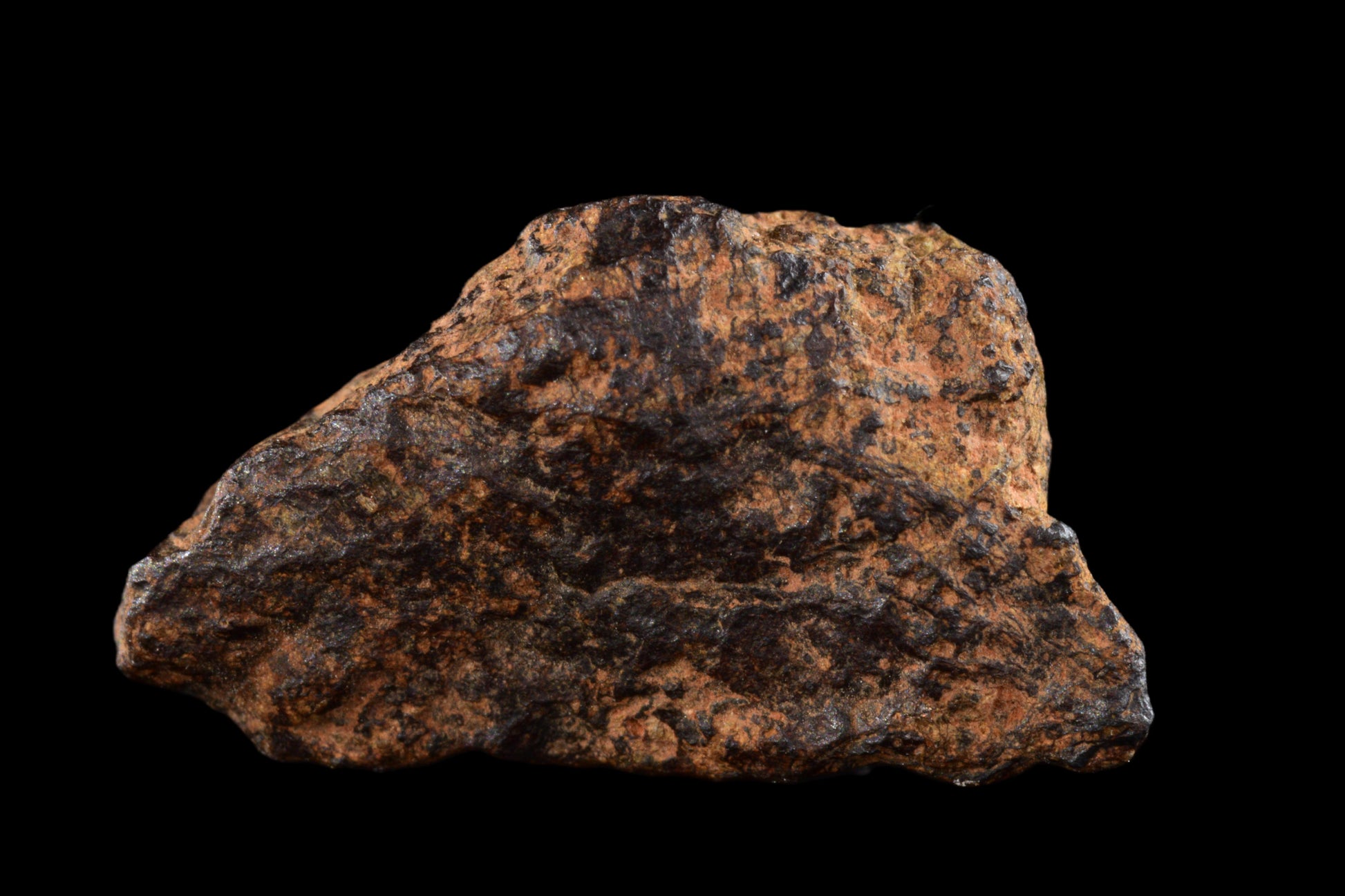 NWA 14869 Diogenite melt breccia 2.87 g