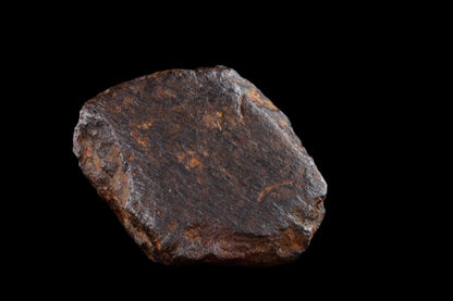 NWA 14869 Diogenite melt breccia 3.13 g