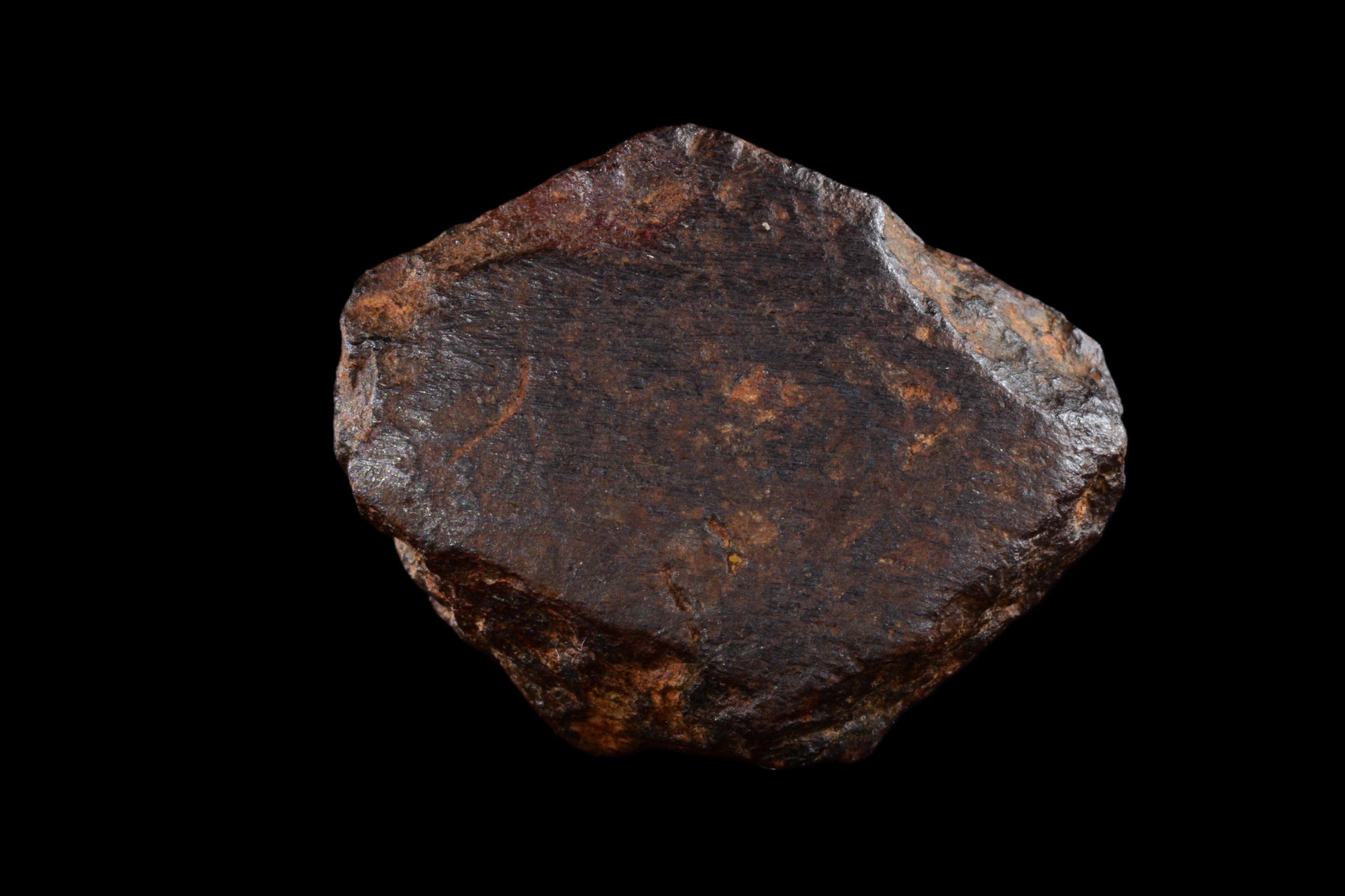 NWA 14869 Diogenite melt breccia 3.13 g