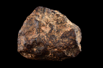 NWA 14869 Diogenite melt breccia 3.92 g