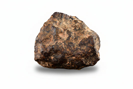 NWA 14869 Diogenite melt breccia 3.92 g