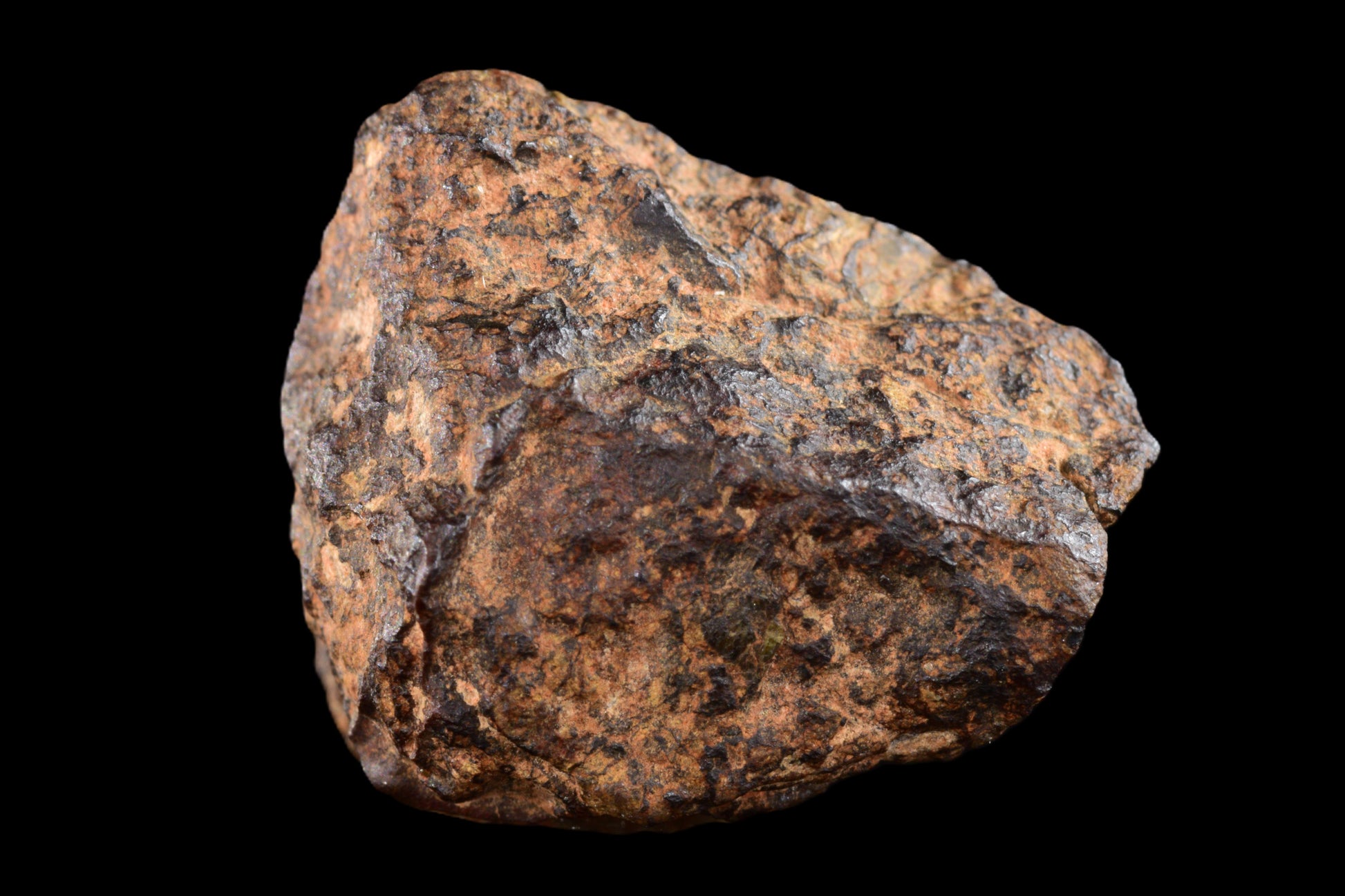 NWA 14869 Diogenite melt breccia 3.92 g