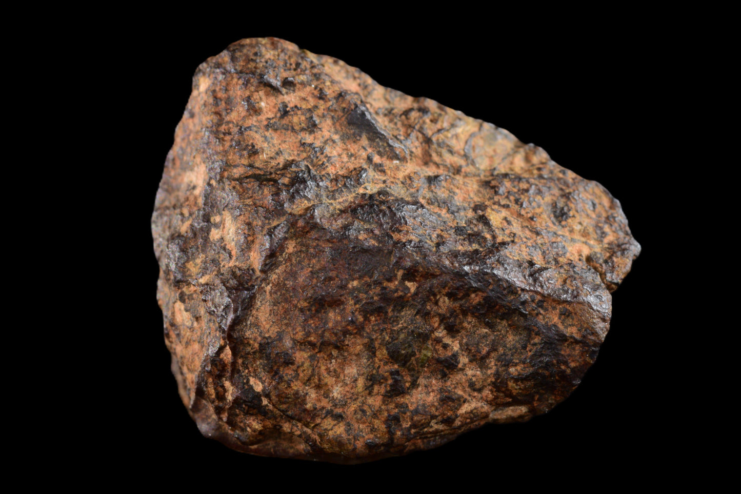 NWA 14869 Diogenite melt breccia 3.92 g