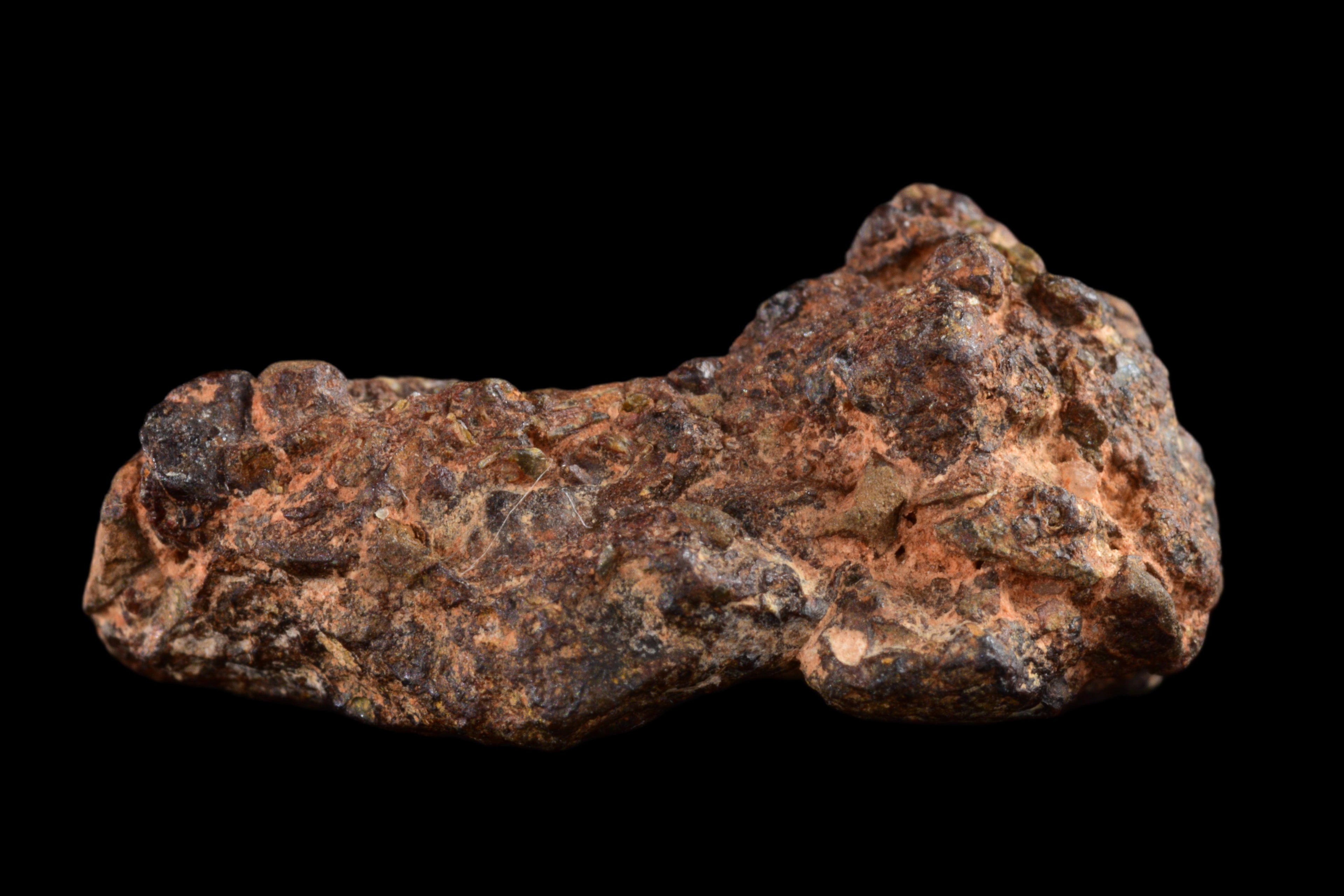 NWA 14869 Diogenite melt breccia 4.10  g
