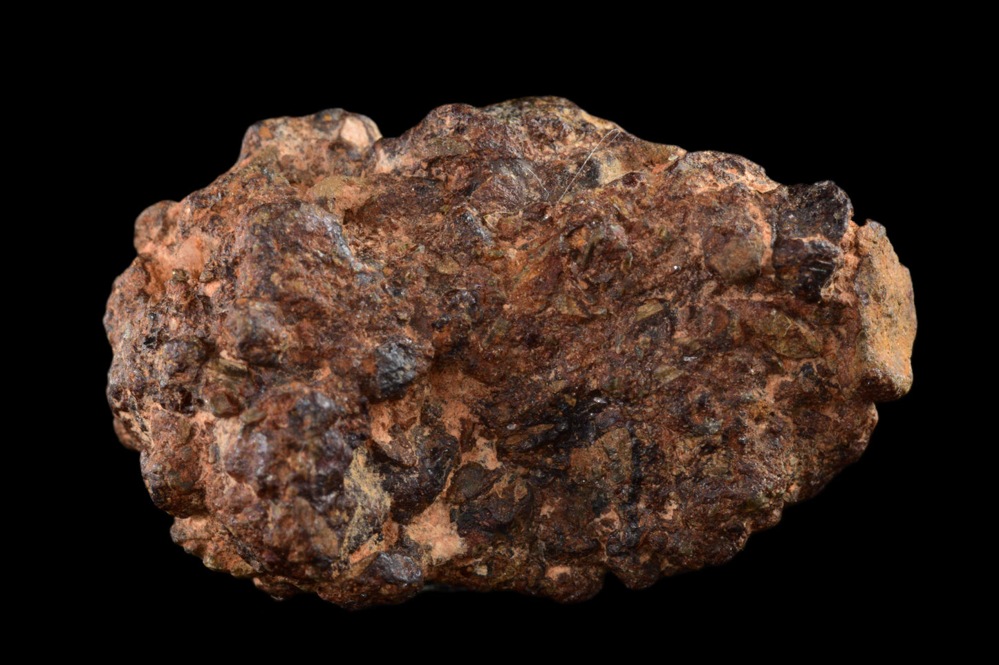 NWA 14869 Diogenite melt breccia 4.10  g