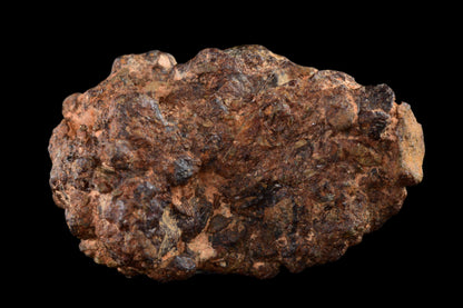 NWA 14869 Diogenite melt breccia 4.10  g