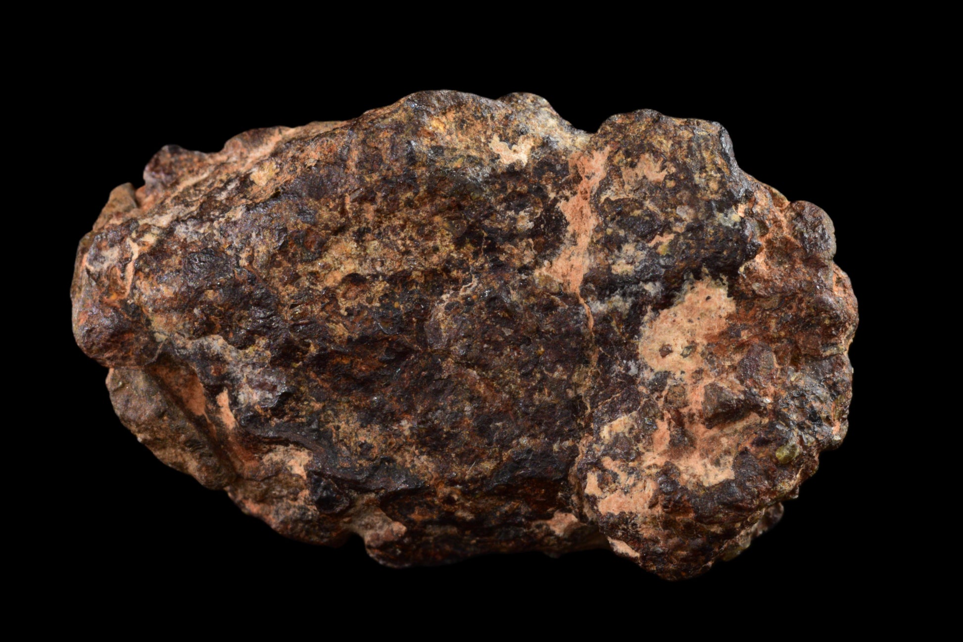 NWA 14869 Diogenite melt breccia 4.10  g