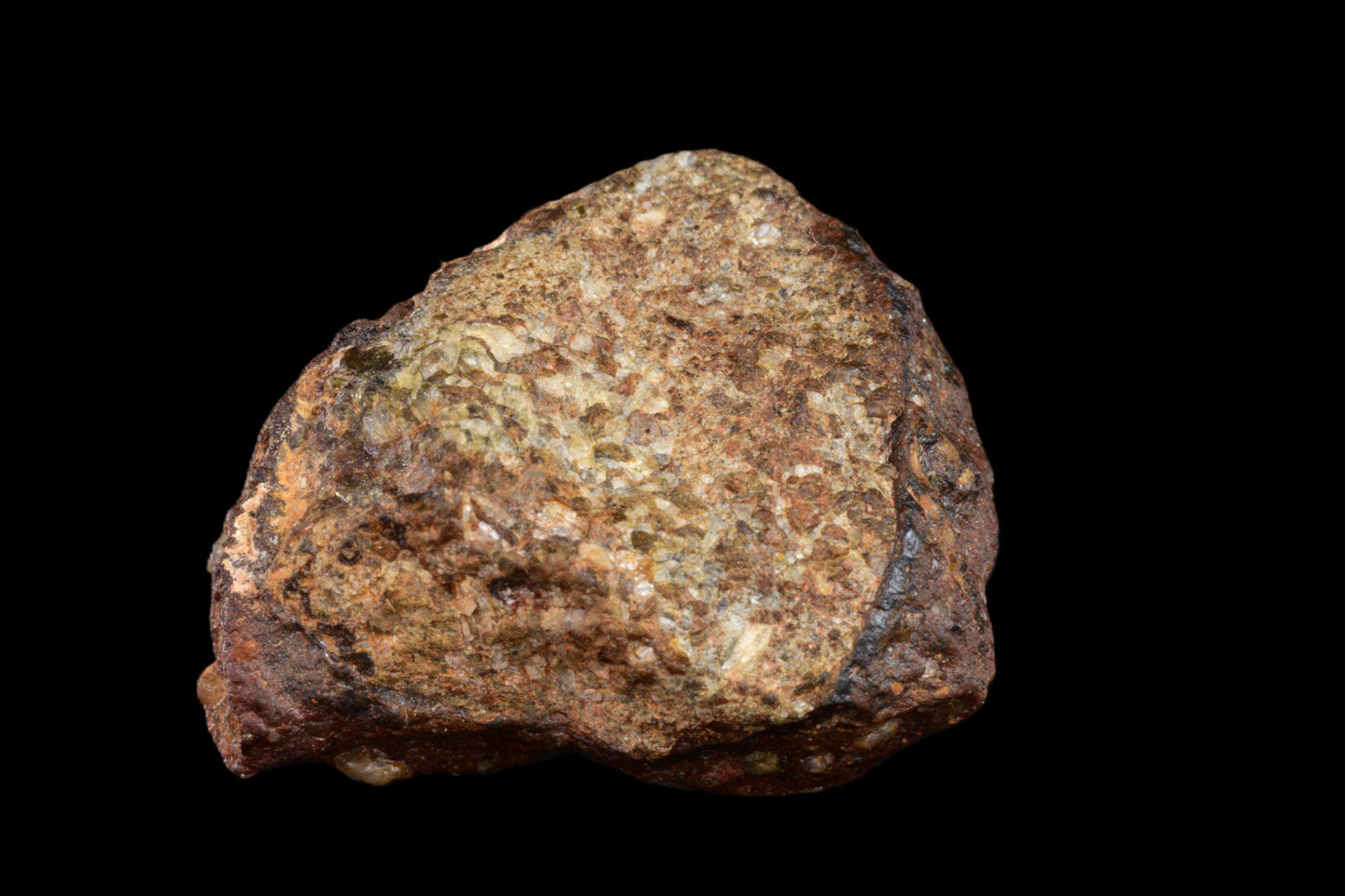 NWA 14869 Diogenite melt breccia 4.11 g