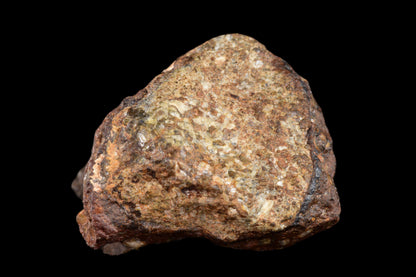 NWA 14869 Diogenite melt breccia 4.11 g