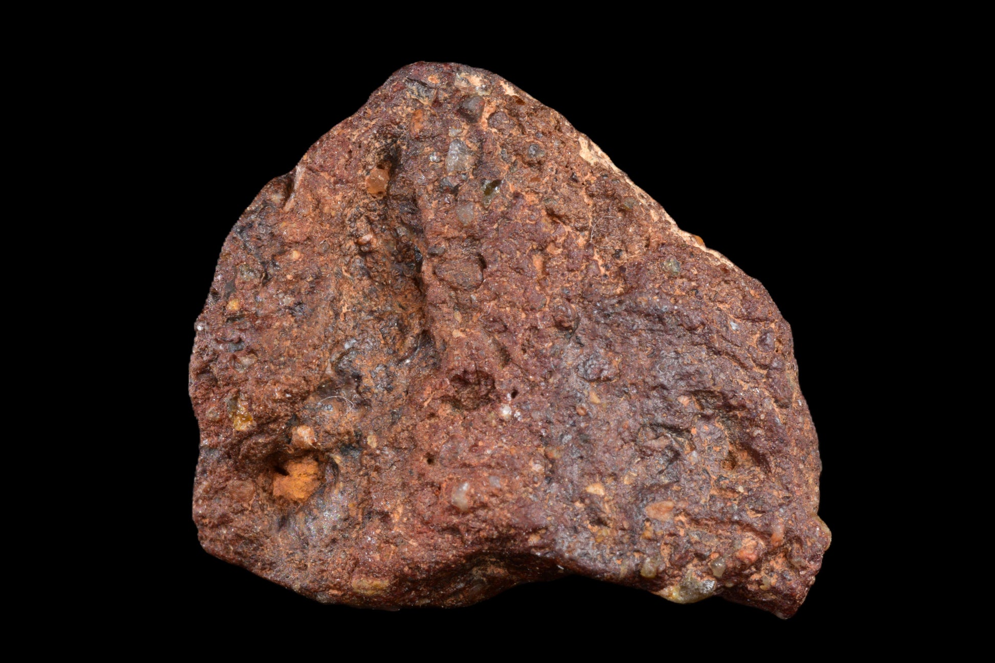 NWA 14869 Diogenite melt breccia 4.11 g